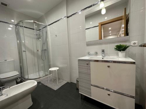 ein Bad mit einer Dusche, einem Waschbecken und einem WC in der Unterkunft Apartamento Lujo centro histórico in Valladolid