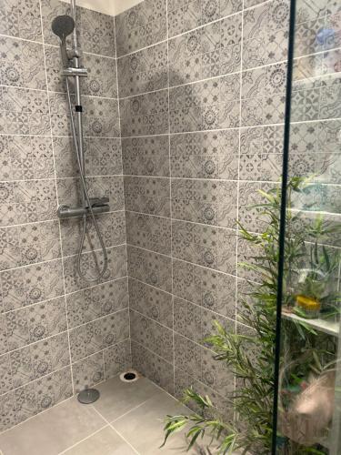 a shower in a bathroom with a tile wall at Chambre d’hôtes avec piscine in Éguzon-Chantôme