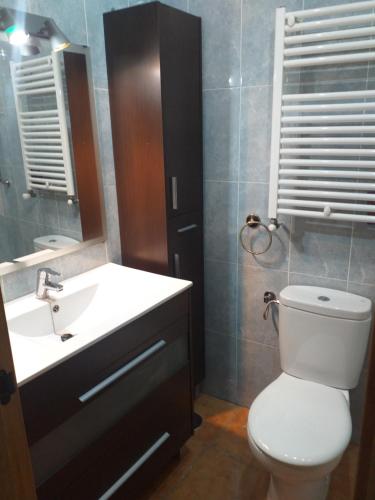 bagno con servizi igienici, lavandino e specchio di Habitación intima con patio privado 