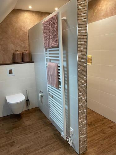 a bathroom with a shower and a toilet in it at Excl. Maisonette Ferienwohnung in Coesfeld