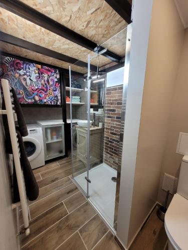 Cette chambre dispose d'une porte en verre et d'un four micro-ondes. dans l'établissement Studio des Halles, au Havre