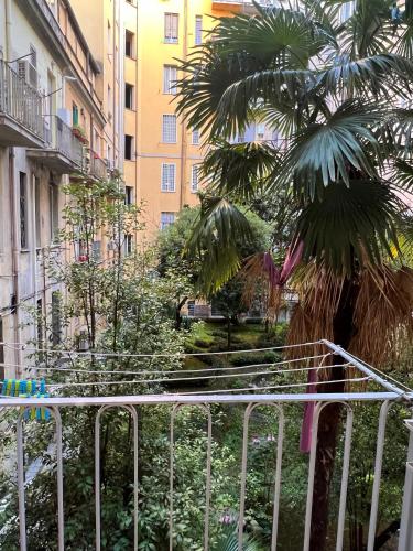 Flaminia@213
