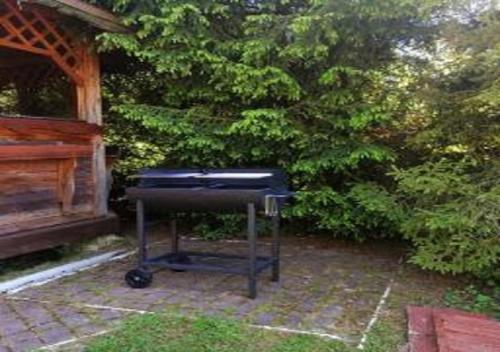 a barbecue grill sitting in front of a bush at Dom na wzgórzu in Kiczora