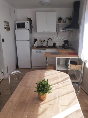 une cuisine avec une table en bois et une plante en pot. dans l'établissement Studio mer Neuf Port la Nouvelle, à Port-la-Nouvelle