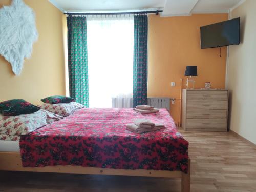 Gambar di galeri bagi Pokoje Goscinne U Janki di Murzasichle