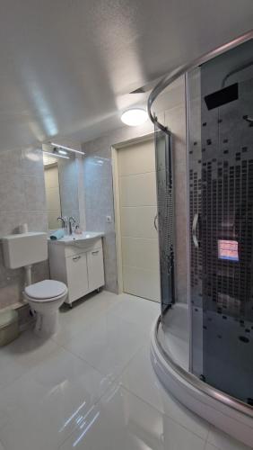 uma casa de banho com um chuveiro, um WC e um lavatório. em Apartmani SKY 1 2 3 em Brcko