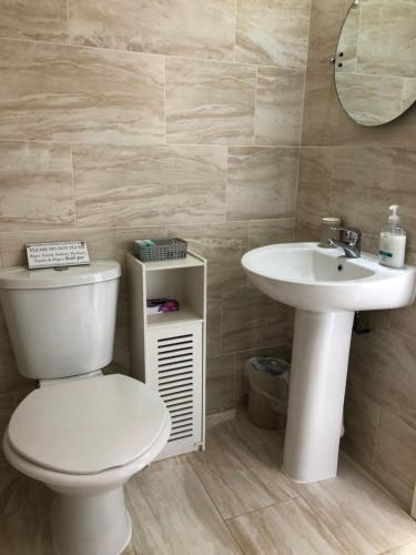 a bathroom with a white toilet and a sink at Entire cosy home from home country retreat in Holyhead