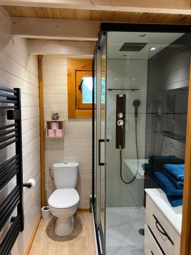 a small bathroom with a toilet and a shower at Tiny-House Chalet Al måjhinete in Lodève