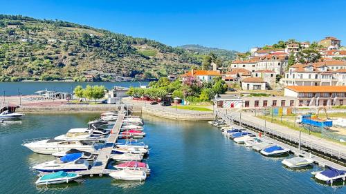 a bunch of boats are docked in a harbor at Chalé Caldas de Aregos in Caldas de Aregos