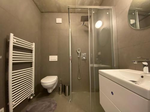 a bathroom with a shower and a toilet and a sink at Apartmán pod sjezdovkou in Vrchlabí