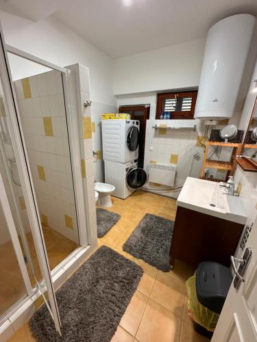 een badkamer met een douche, een wastafel en een toilet bij Family Apartman in Balatonfenyves