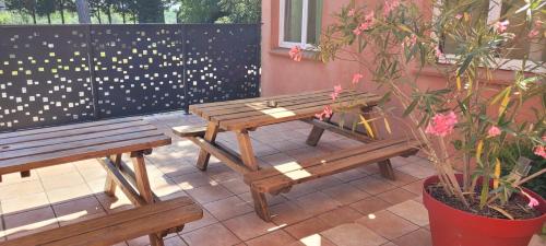 DOMAINE DE POULHARIES - Carignan