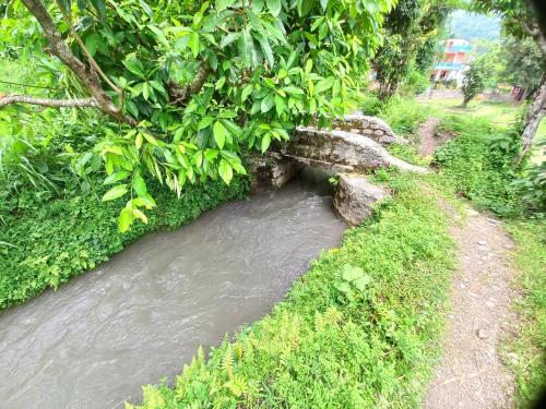 a stream of water next to a field with trees at Riverside Homes in Deorāli