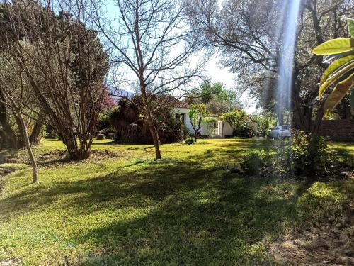 a yard with trees and a house in the background at El Cortijo de Marie in Granada