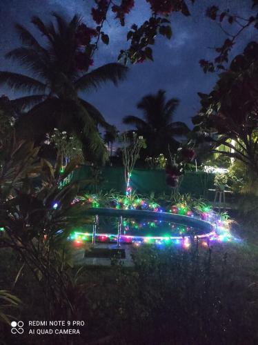 a pool with christmas lights in a yard at night at Villa Nemo in Waikkal