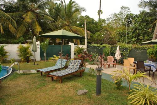 a yard with chairs and an umbrella and a pool at Villa Nemo in Waikkal