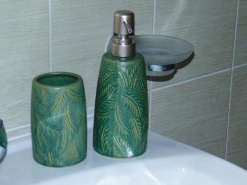 einen grünen Wasserhahn und eine grüne Tasse auf einem Waschbecken in der Unterkunft The Orange Cactus in Sparta