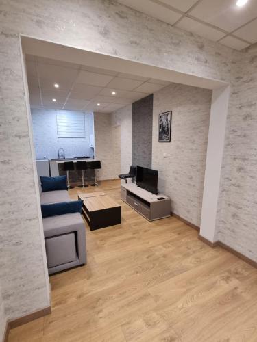 un salon avec un canapé et une télévision dans l'établissement Appartement Centre ville, à Chalon-sur-Saône