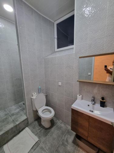 een badkamer met een toilet, een wastafel en een douche bij Appartement Centre ville in Chalon-sur-Saône