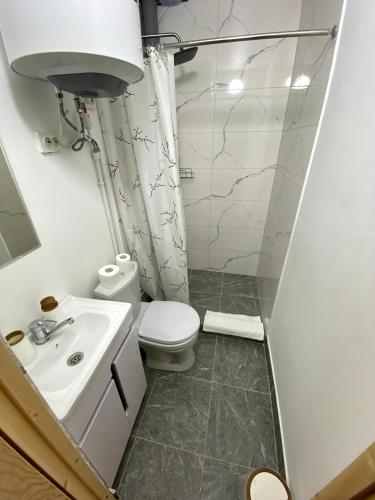 a bathroom with a toilet and a sink at Altay Village Hotel in Orto-Saz