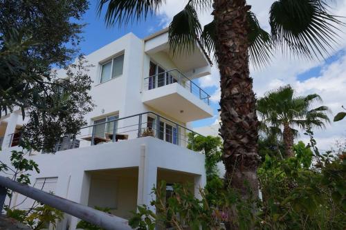 歌科斯的住宿－The Sea Star - Korfos Sea View Villa，一座白色的建筑,前面有棕榈树