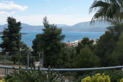 歌科斯的住宿－The Sea Star - Korfos Sea View Villa，树木的水域景观