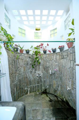 a group of potted plants on a stone wall at Hilltop Retreat Matale in Matale