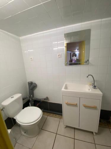 La salle de bains est pourvue de toilettes, d'un lavabo et d'un miroir. dans l'établissement Locations de la centrale de Belleville, à Neuvy-sur-Loire