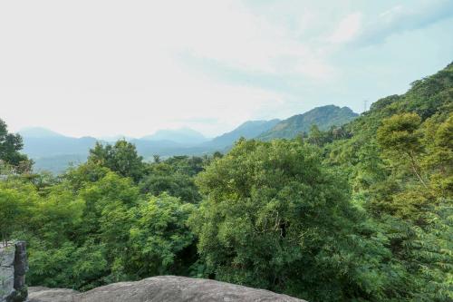 a view of a forest with mountains in the background at Hilltop Retreat Matale in Matale
