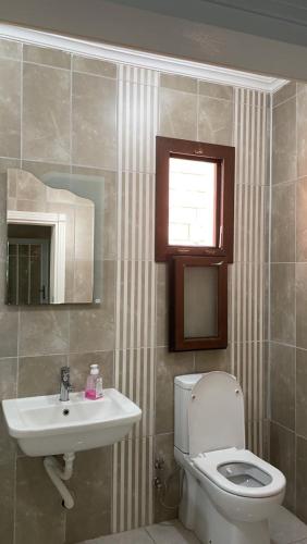a bathroom with a toilet and a sink and a window at Konak village housee in Ardeşen