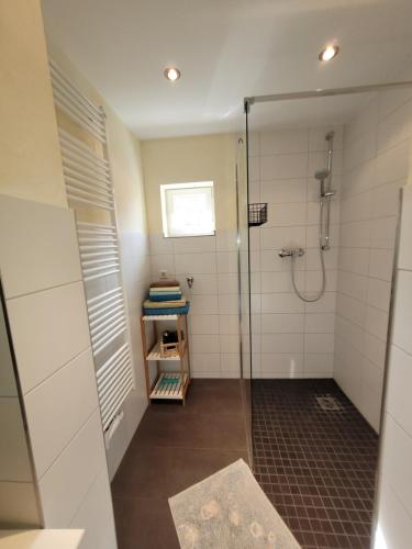 a bathroom with a shower with a glass door at Ferienwohnung Alte Schmiede in Vogtsburg