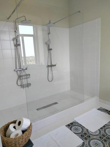 a bathroom with a shower with a glass door at Quinta do Passal in Arega