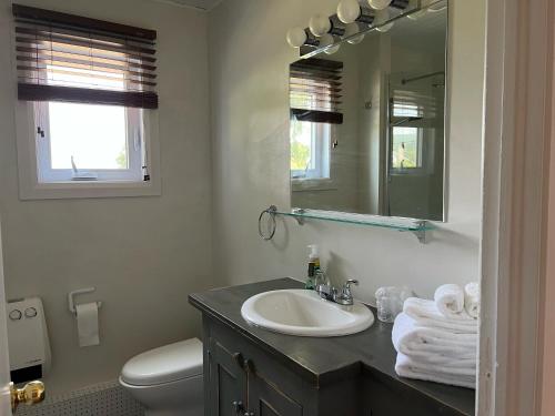 a bathroom with a sink and a toilet and a mirror at Motel du Bic in Bic