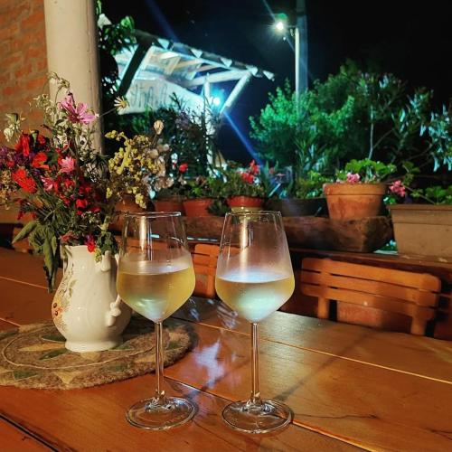 two glasses of wine sitting on a table with flowers at Amanet House Zasavica in Zasavica