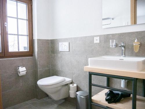 a bathroom with a toilet and a sink at stettli resort in Parpan