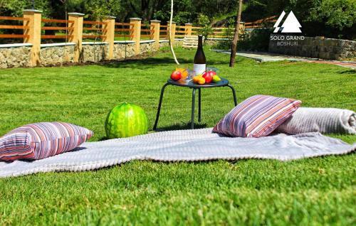 a picnic blanket on the grass with a table with a bottle of wine at Solo Grand Boshuri Hotel Wellness Resort in Qvemo Boshuri