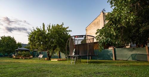 a basketball hoop in the grass in a yard at Wellness Apartmány Vila Republika in Velké Losiny