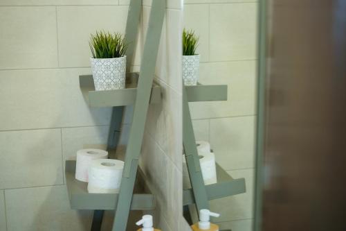 a bathroom with shelves with toilet paper and plants at SEAING HOUSE in Falca