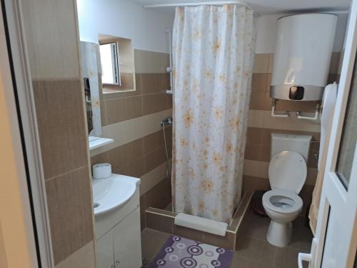 a small bathroom with a toilet and a shower curtain at Casa Elena in 2 Mai
