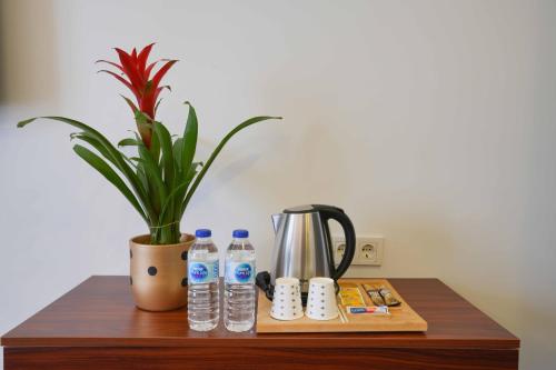 un tavolo con una pianta in vaso e bottiglie d'acqua di Violin Hotel Sultanahmet a Istanbul