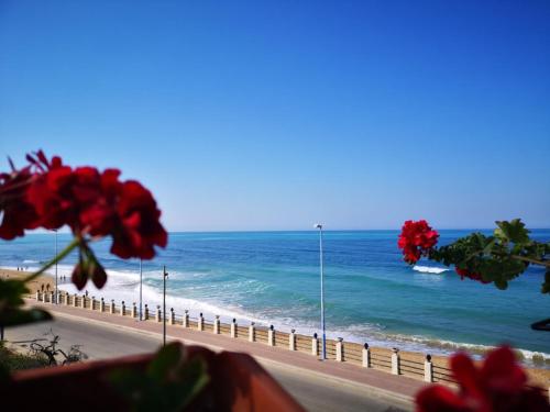 een uitzicht op het strand en de oceaan met rode bloemen bij Seaside in San Leone