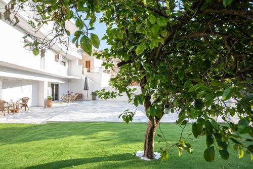 a tree in the yard of a house at Garden Apartment in Amarynthos II in Amarinthos