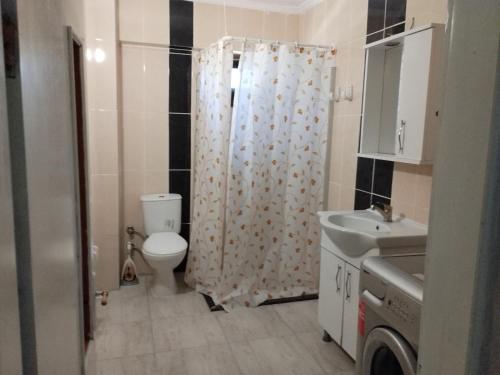 a bathroom with a toilet and a sink and a shower at Kadınlar den plajına 50 metre bahçeli 1+1 in Kuşadası