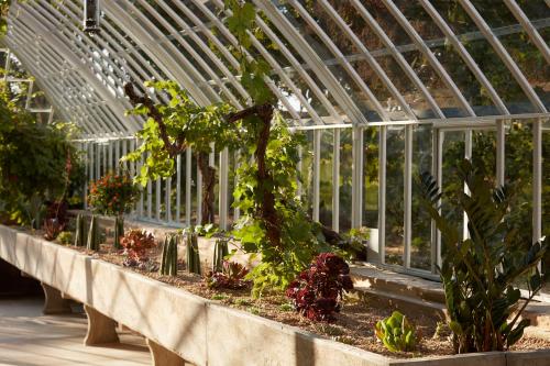 a green greenhouse with plants in it at DOMAINE LE MEZO in Ploeren