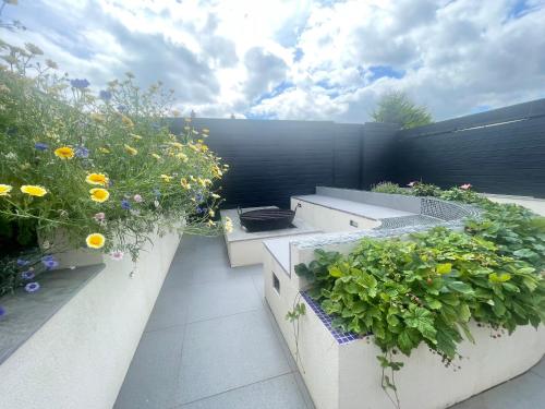 a small garden with flowers and plants in pots at Farne Island rooms in Seahouses