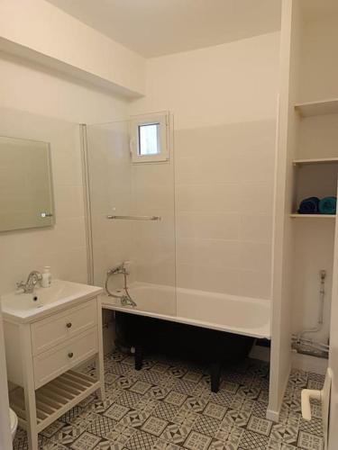 La salle de bains est pourvue d'une douche et d'un lavabo. dans l'établissement La garçonnière de Gégé, à Tournus