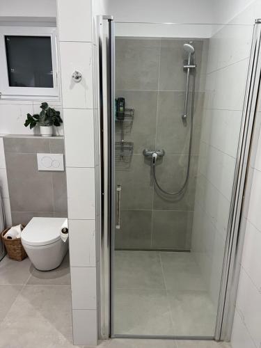 a shower with a glass door in a bathroom at Apartmány Catalina in Nesvady