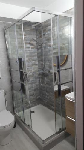 une salle de bain avec douche et toilettes dans l'établissement Grand jardin, plage, agréable, hôte reactif, à Saint-Cyprien