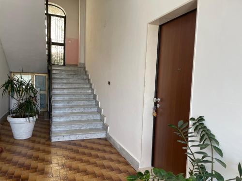 a staircase in a building with a potted plant at Manfredi Apartments in Torre Annunziata