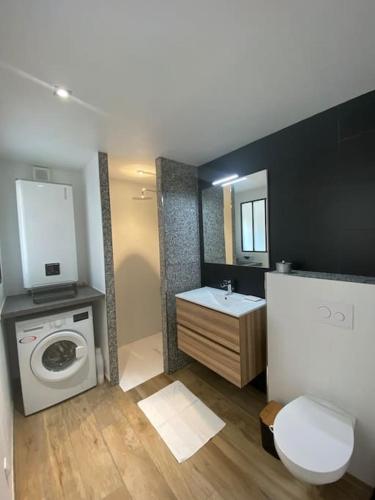 une salle de bain avec un lavabo et une machine à laver dans l'établissement Maison avec ses 2 terrasses et sa piscine, à Eyragues